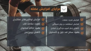 مزایای عضله سازی، مزایای افزایش عضله، کزایای ساخت عضلات.